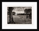 Wrotham Park by Anonymous