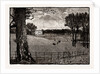 Wrotham Park by Anonymous