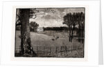Wrotham Park by Anonymous