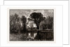 On The Lea by Anonymous