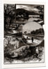 Views In Epping Forest by Anonymous