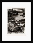 Views In Epping Forest by Anonymous