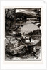 Views In Epping Forest by Anonymous