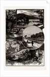 Views In Epping Forest by Anonymous