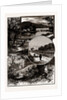 Views In Epping Forest by Anonymous