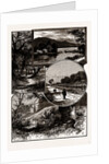 Views In Epping Forest by Anonymous