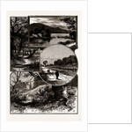 Views In Epping Forest by Anonymous