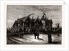 Royal Forest Hotel, Chingford by Anonymous