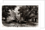 Theydon Bois by Anonymous