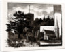Churches At Woodford by Anonymous