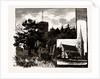 Churches At Woodford by Anonymous