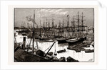 West India Docks, Isles of Dogs, London by Anonymous