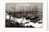 West India Docks, Isles of Dogs, London by Anonymous
