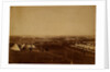 Plateau of Sebastopol: Allied camp on the plateau before Sebastopol, Crimean War by Roger Fenton