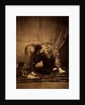 A Zouave, Crimean War by Roger Fenton