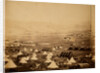 Cavalry camp, looking towards Kadikoi, Crimean War by Roger Fenton