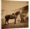 Captain Drysdale, 42nd Regiment, Crimean War by Roger Fenton
