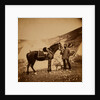 Captain Drysdale, 42nd Regiment, Crimean War by Roger Fenton