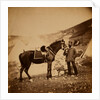 Captain Drysdale, 42nd Regiment, Crimean War by Roger Fenton