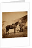 Captain Drysdale, 42nd Regiment, Crimean War by Roger Fenton
