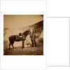 Captain Drysdale, 42nd Regiment, Crimean War by Roger Fenton