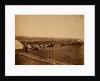 Camps on plateau before Sebastopol, Crimean War by Roger Fenton