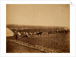 Camps on plateau before Sebastopol, Crimean War by Roger Fenton
