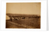 Camps on plateau before Sebastopol, Crimean War by Roger Fenton