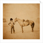 Lieutenant Grills, R.H.A., Crimean War by Roger Fenton