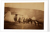 Captain Webb's hut, 4th Dragoon Guards, Crimean War by Roger Fenton