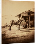 Lieutenant-Colonel Chapman, C.B., Royal Engineers, Crimean War by Roger Fenton