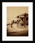 Lieutenant-Colonel Chapman, C.B., Royal Engineers, Crimean War by Roger Fenton