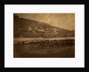 Field train, horse artillery, Crimean War by Roger Fenton