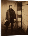 Captain Lord Balgonie, Grenadier Guards, Crimean War by Roger Fenton