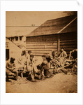 Tartar labourers, Crimean War by Roger Fenton