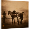 Lieutenant Godman, 5th Dragoons, Crimean War by Roger Fenton
