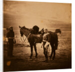 Lieutenant Godman, 5th Dragoons, Crimean War by Roger Fenton