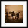 Lieutenant Godman, 5th Dragoons, Crimean War by Roger Fenton