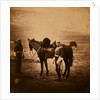 Lieutenant Godman, 5th Dragoons, Crimean War by Roger Fenton