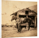 Captain King, horse artillery, Crimean War by Roger Fenton