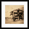 Captain King, horse artillery, Crimean War by Roger Fenton