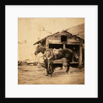 Captain King, horse artillery, Crimean War by Roger Fenton
