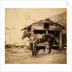 Captain King, horse artillery, Crimean War by Roger Fenton