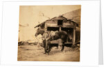 Captain King, horse artillery, Crimean War by Roger Fenton