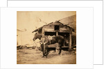 Captain King, horse artillery, Crimean War by Roger Fenton