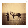 Major Woodford, Rifle Brigade, Crimean War by Roger Fenton