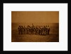 Officers of the 88th Regiment, Crimean War by Roger Fenton