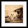 Major Chapman, 20th Regiment, Crimean War by Roger Fenton