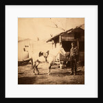 Major Chapman, 20th Regiment, Crimean War by Roger Fenton