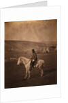 Captain W.H. Seymour, 68th Light Infantry, Crimean War by Roger Fenton
